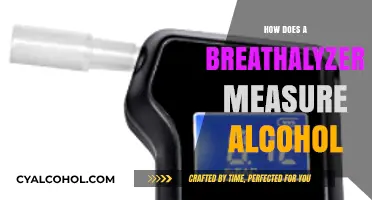 How Breathalyzers Accurately Measure Blood Alcohol Content: A Detailed Guide
