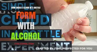 Creating a Cloud: Alcohol's Impact on Air