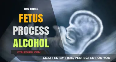 Fetal Alcohol Exposure: Understanding How Unborn Babies Process Alcohol