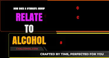 Understanding the Hydroxyl Group: Its Role in Alcohol Formation
