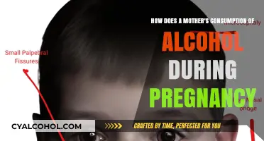 Alcohol in Pregnancy: A Mother's Consumption, Fetal Risks