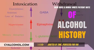 Efficient Note-Taking for Nurses: Documenting Alcohol History