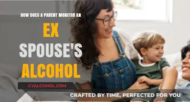 Monitoring an Ex-Spouse's Alcohol: A Parent's Guide