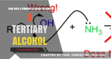 Primary to Tertiary: Alcohol Conversion Process