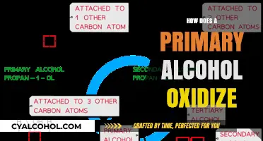 Understanding Primary Alcohol Oxidation: Mechanisms, Reagents, and Reactions Explained