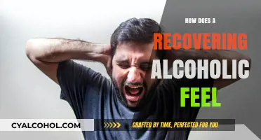The Emotional Journey of Recovery: A Sober Perspective on Healing
