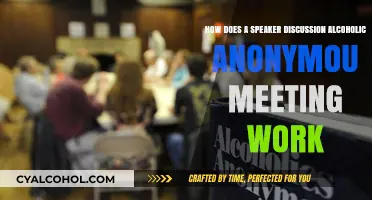 Speaker Discussions at AA Meetings: How Do They Work?