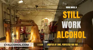 Understanding the Distillation Process: How Stills Produce Alcohol