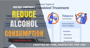 Acamprosate's Role in Reducing Alcohol Consumption: A Comprehensive Guide