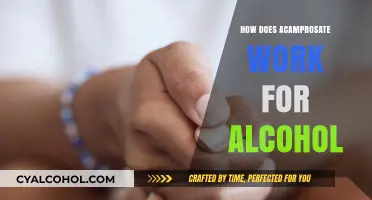 Understanding Acamprosate's Mechanism in Alcohol Addiction Treatment