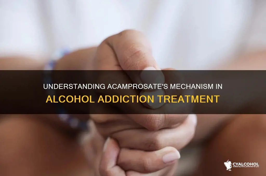 how does acamprosate work for alcohol