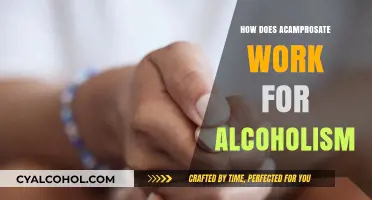 Understanding Acamprosate's Role in Treating Alcoholism: Mechanism and Benefits