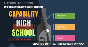 Alcohol Abuse: Economic Impact on High Schoolers