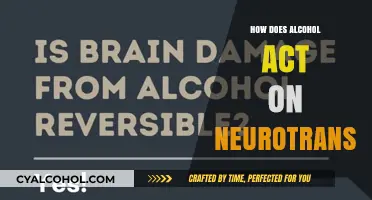 Alcohol's Impact on Brain Chemistry: Unraveling Neurotransmitter Interactions