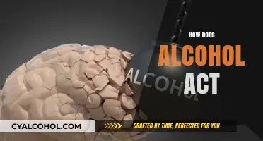 Understanding Alcohol's Effects: How It Acts on the Body and Mind