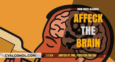 Alcohol's Impact on Brain Function: Understanding the Effects and Risks