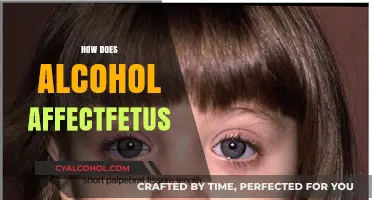 Alcohol's Impact on Fetal Development: Risks, Effects, and Prevention