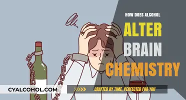 Alcohol's Impact: Unraveling How It Alters Brain Chemistry and Function