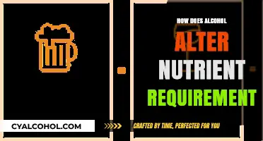 Alcohol's Impact: How Drinking Alters Your Nutrient Needs