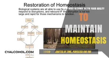 Alcohol's Impact on Homeostasis: A Complex Disruption