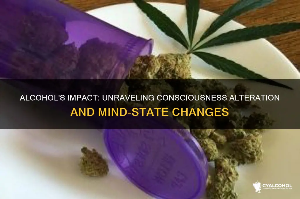 how does alcohol alter your state of consciousness