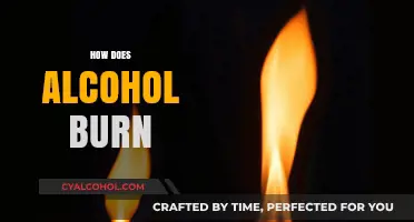 Understanding the Science Behind How Alcohol Burns and Flames