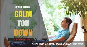Unwinding with Alcohol: Understanding Its Calming Effects on the Mind