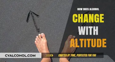Altitude's Impact: How Alcohol Transforms at Higher Elevations