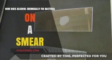 Alcohol's Role in Preserving Bacteria on a Smear