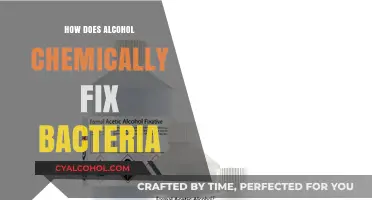 Alcohol's Chemical Mechanism: Preserving Bacteria Through Fixation