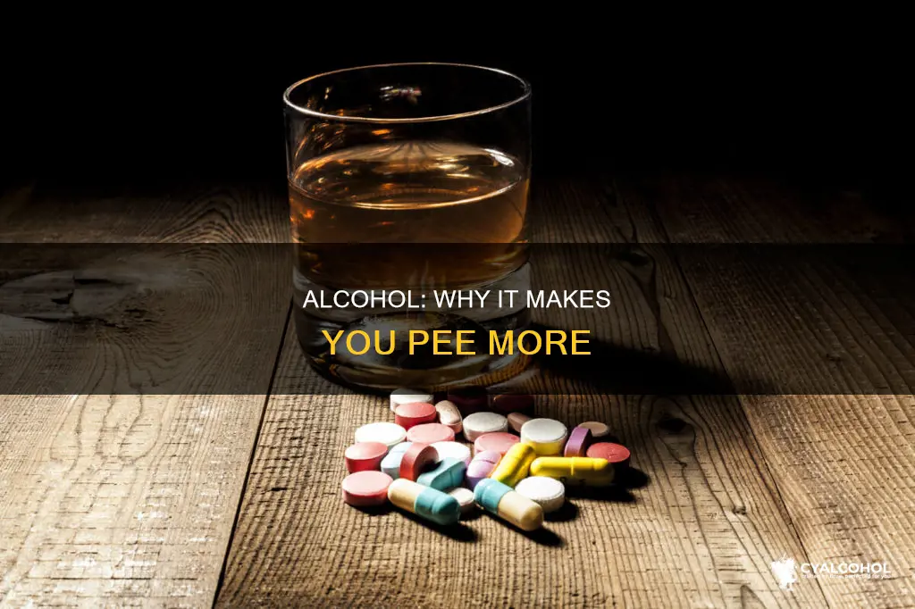 how does alcohol consumption lead to an increased urine output
