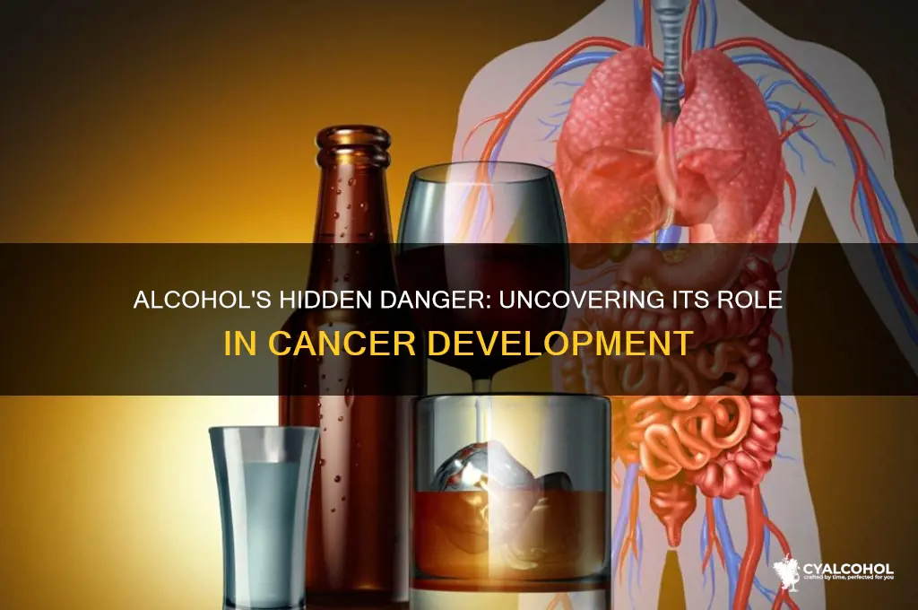 how does alcohol contribute to cancer