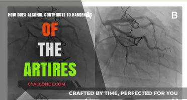 Alcohol's Hardening Impact on Arteries