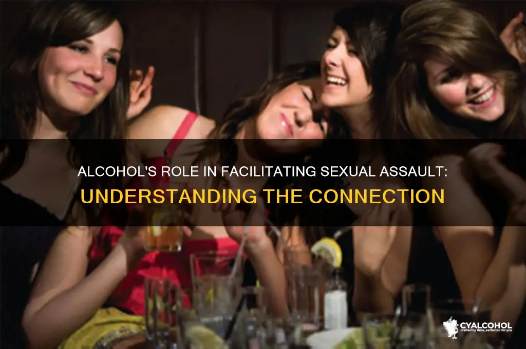 how does alcohol contribute to rape