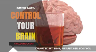 Alcohol's Grip: Unveiling How It Hijacks and Controls Your Brain