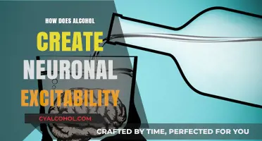 Alcohol's Impact: Unraveling Neuronal Excitability Mechanisms in the Brain