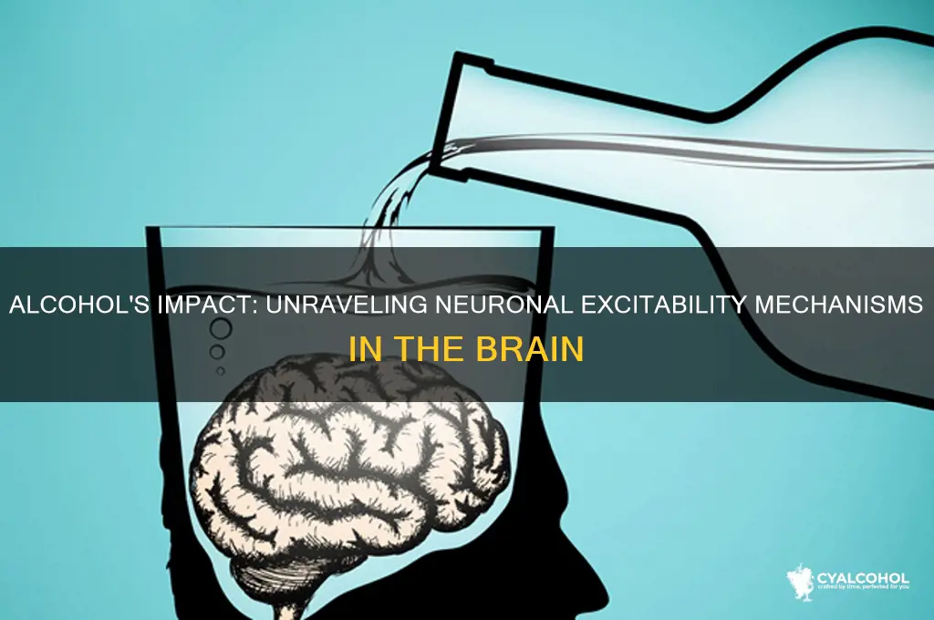 how does alcohol create neuronal excitability