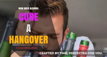 Debunking the Myth: Can Alcohol Really Cure Your Hangover?