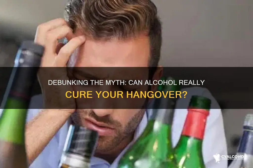 how does alcohol cure a hangover