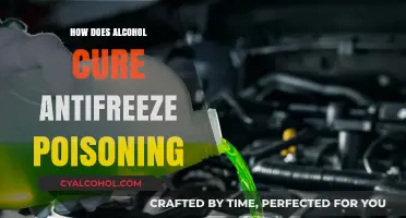 Alcohol's Role in Treating Antifreeze Poisoning: A Life-Saving Intervention