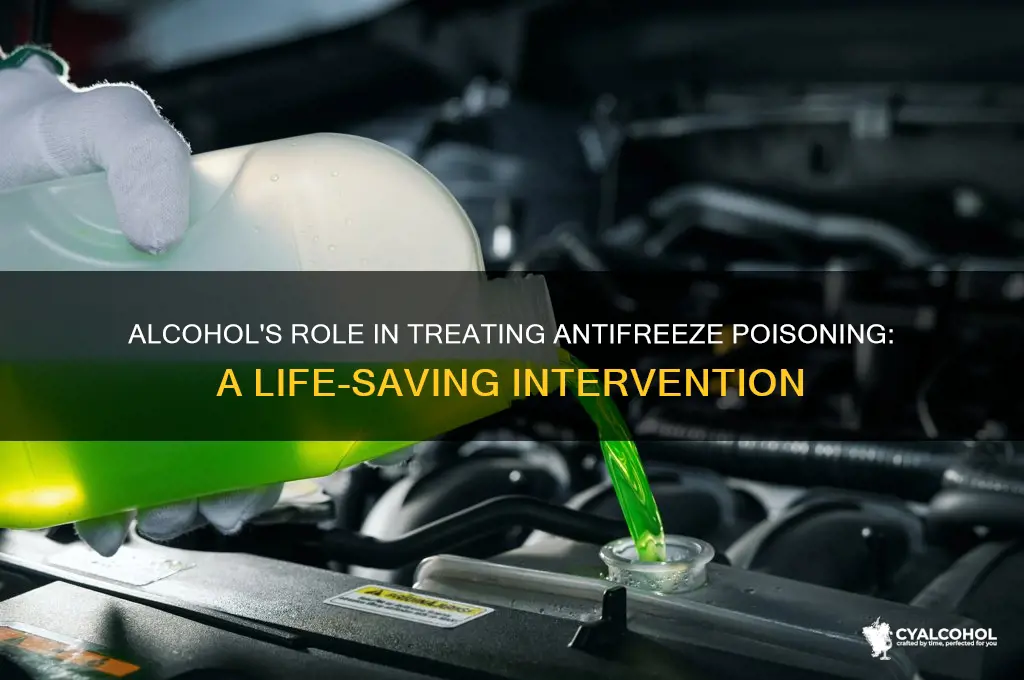 how does alcohol cure antifreeze poisoning