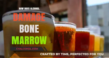 Alcohol's Impact: How Excessive Drinking Destroys Bone Marrow Health