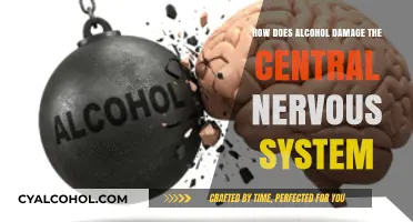 Alcohol's Devastating Impact: Unraveling CNS Damage and Long-Term Effects