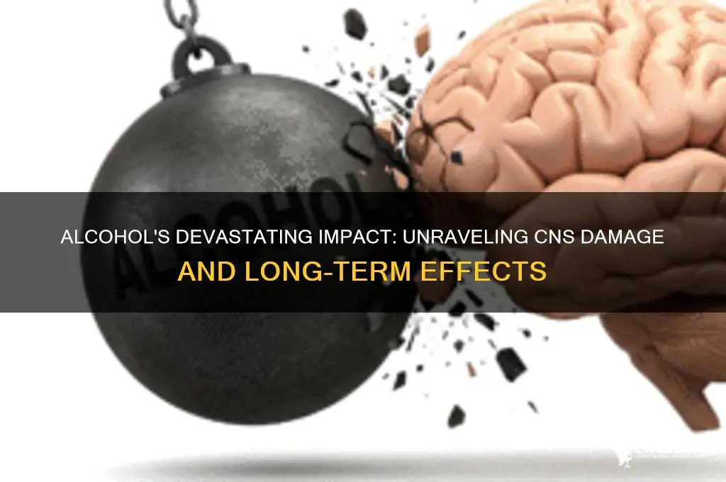 how does alcohol damage the central nervous system