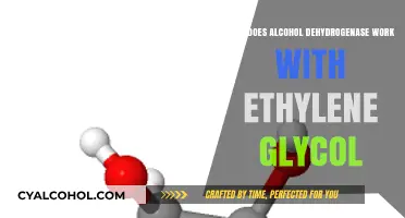 Alcohol Dehydrogenase's Role in Metabolizing Ethylene Glycol: A Breakdown