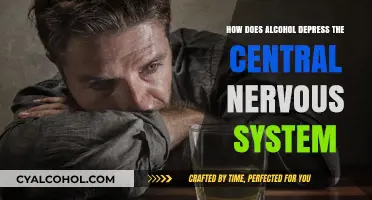Alcohol's Impact: How It Depresses the Central Nervous System