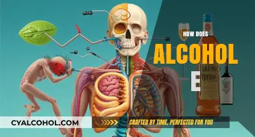 How Alcohol Affects Your Body, Mind, and Long-Term Health