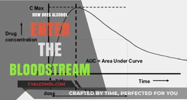 How Alcohol Enters Your Bloodstream: A Detailed Absorption Process Explained