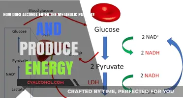 Alcohol's Metabolic Pathway: Energy Production Explained