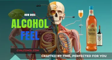 Exploring the Sensations: How Alcohol Feels in Your Body and Mind